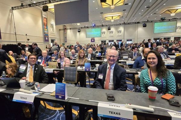 AMA Interim 25 AMA Interim 25